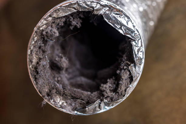 Best Air Duct Sanitizing Services  in Riverton, WY